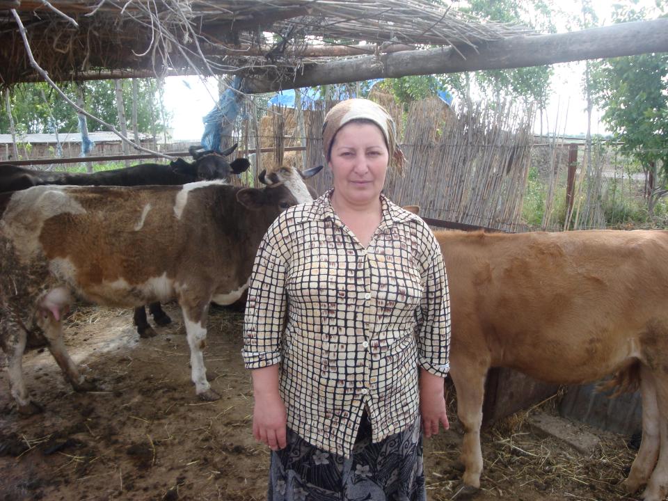 Borrower image