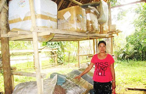 Borrower image