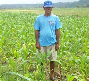 Borrower image