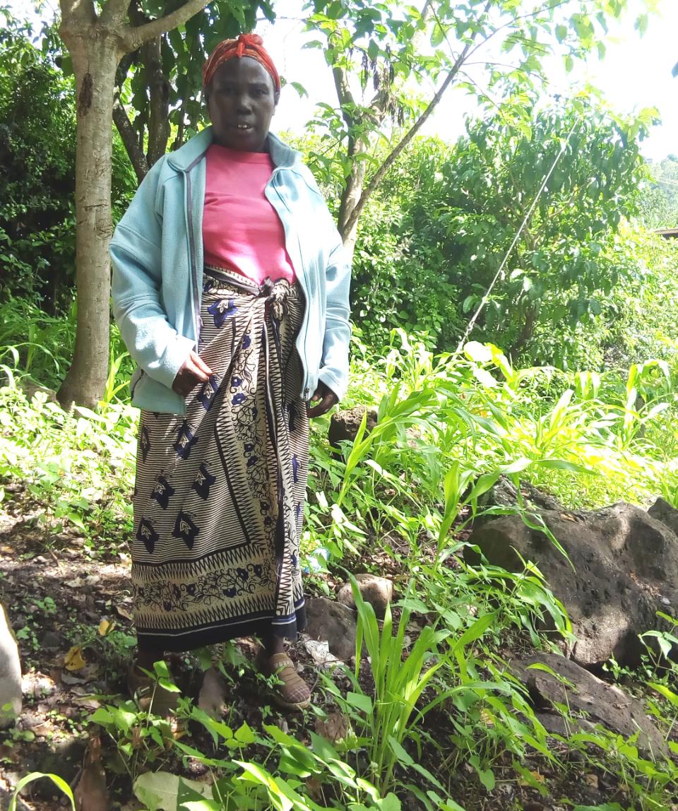 Borrower image