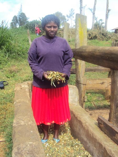 Borrower image