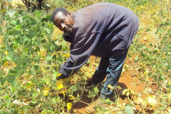 Borrower image
