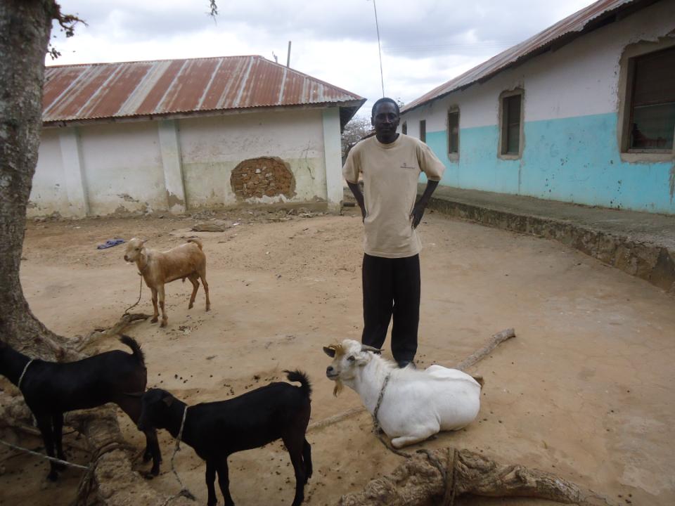 Borrower image