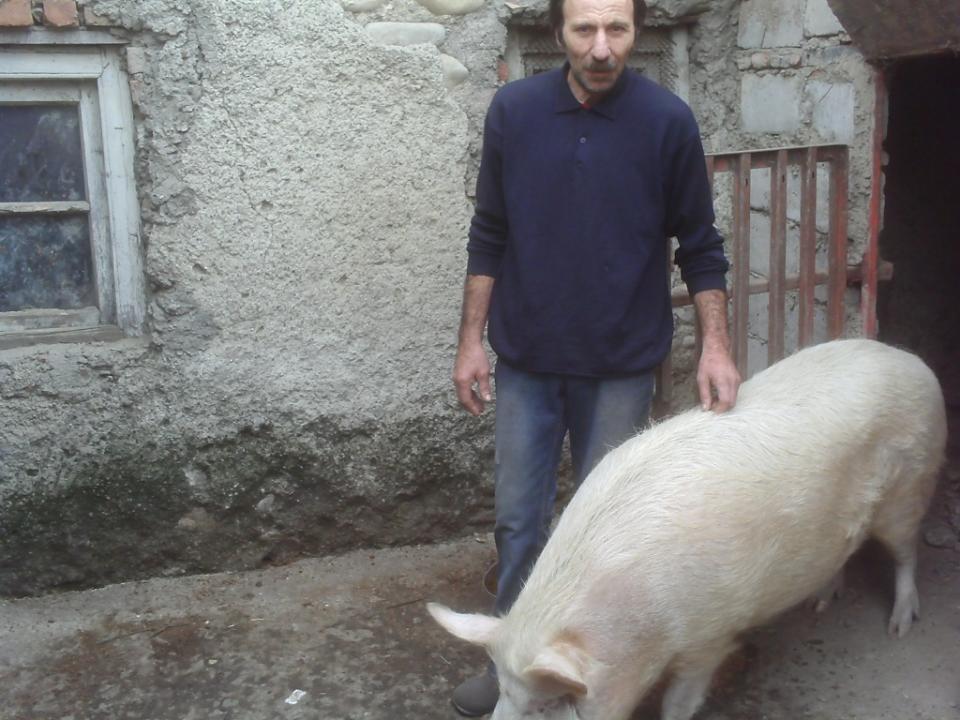 Borrower image