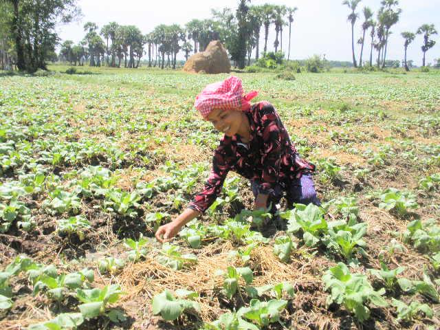 Borrower image