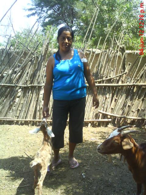 Borrower image
