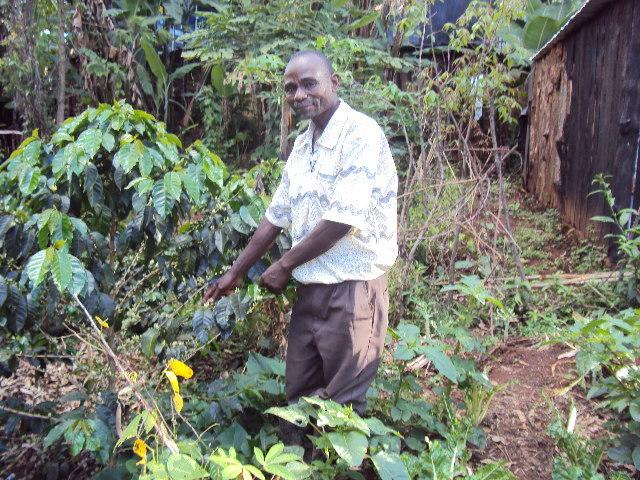 Borrower image