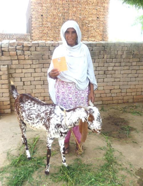 Borrower image